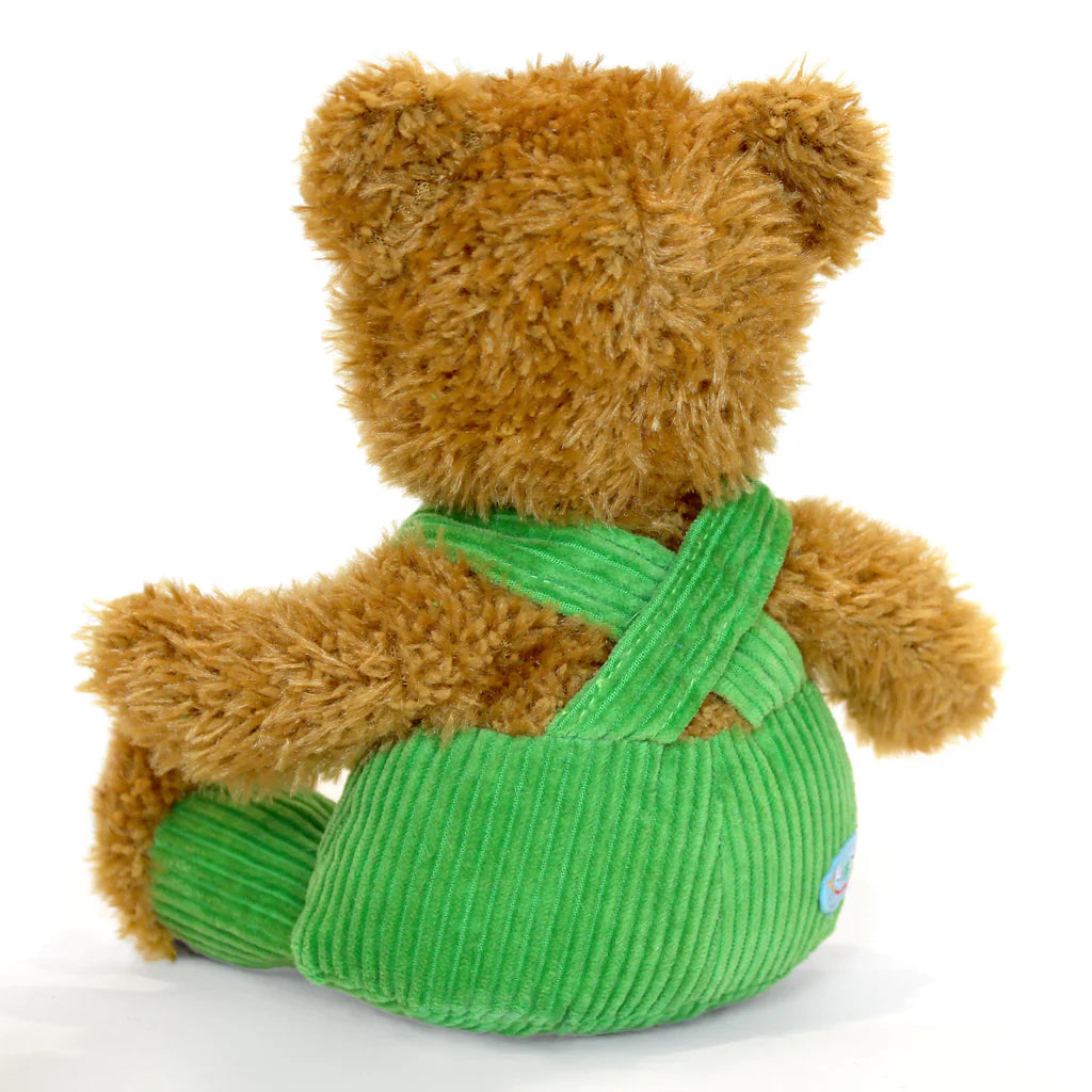Brown teddy bear with a green diaper on a white background
