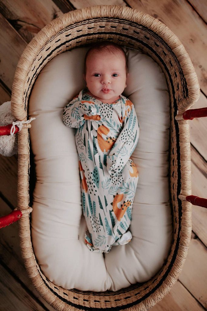 dino gown on a baby in a wood bassinet 