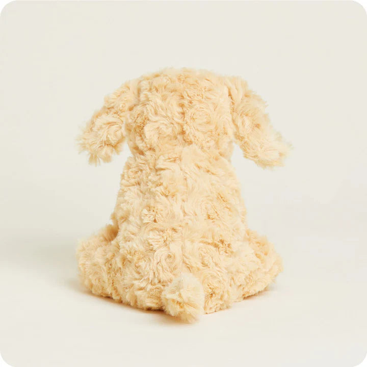 golden dog warmies on a cream background