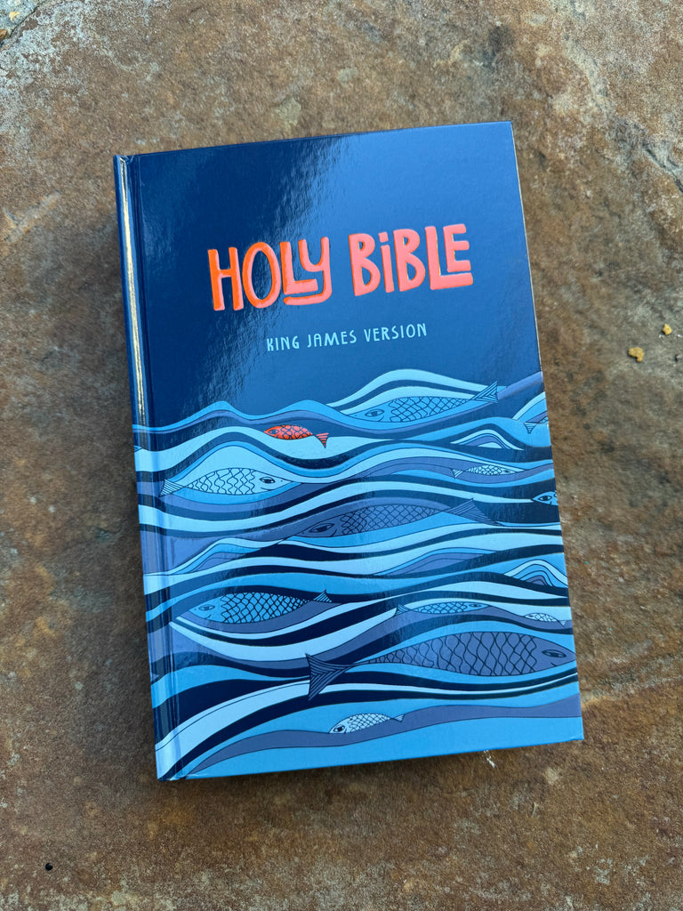 KJV Youth Blue Fish Hardcover on a brown background