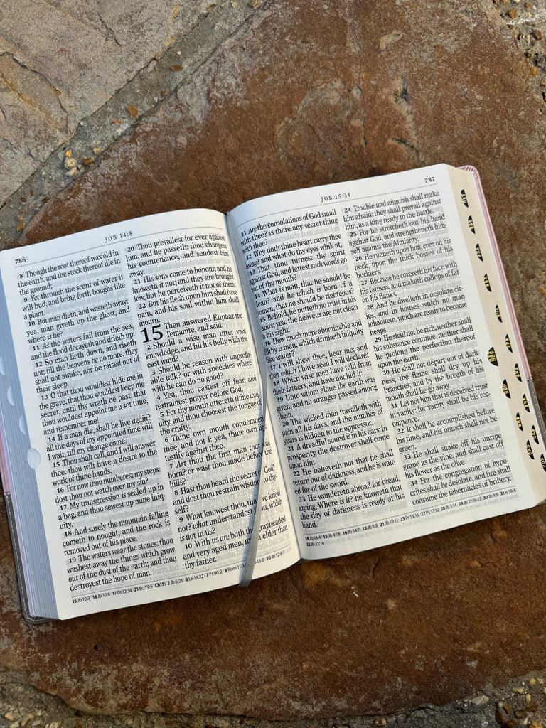 KJV Super Giant Print Pink & Gray Bible