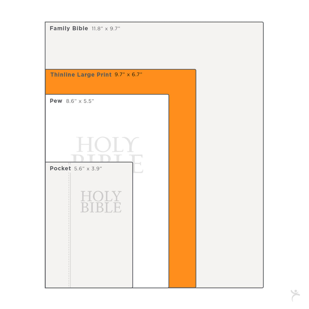 KJV Large Print Thinline Bible - Blue on a white background