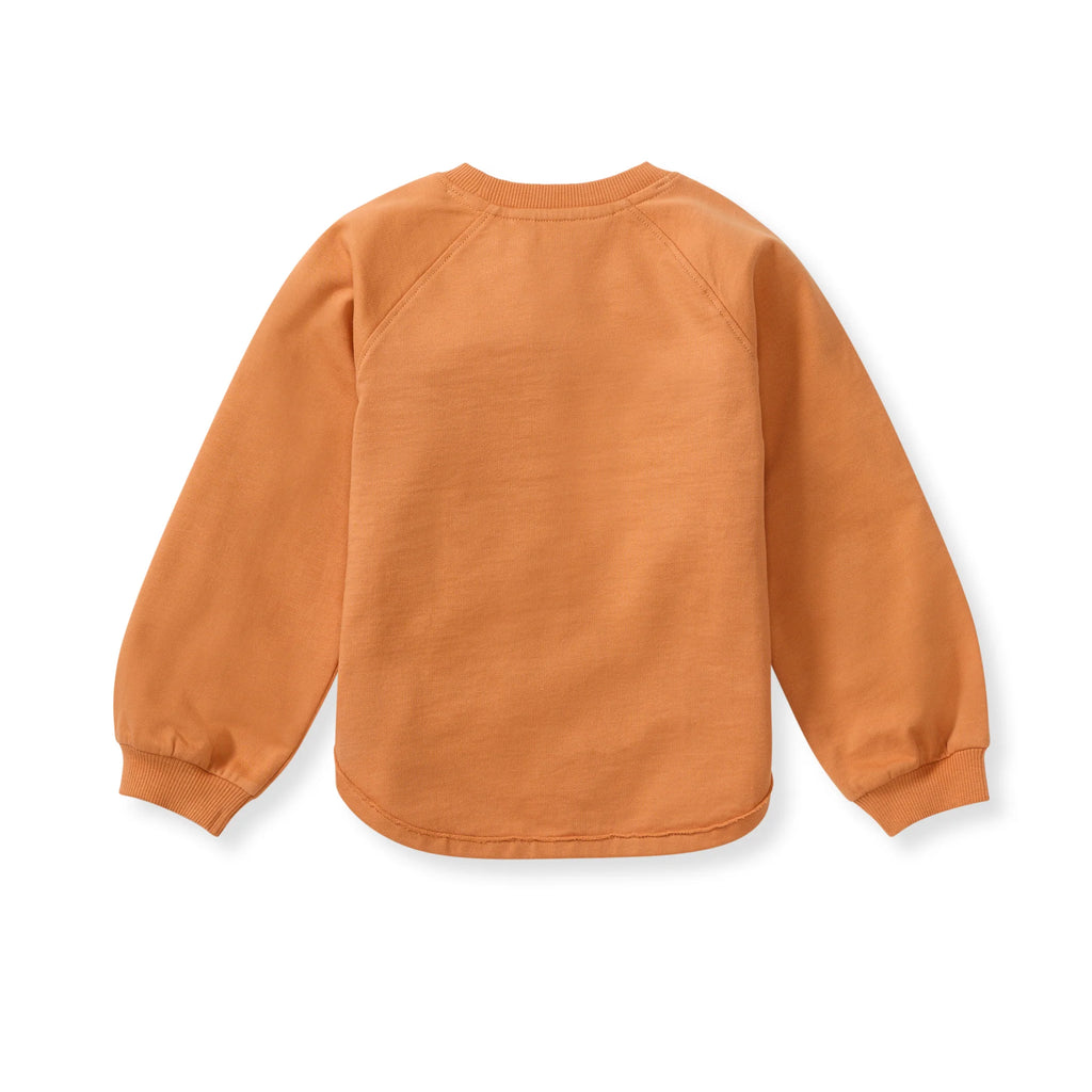 Orange sweatshirt on a white background