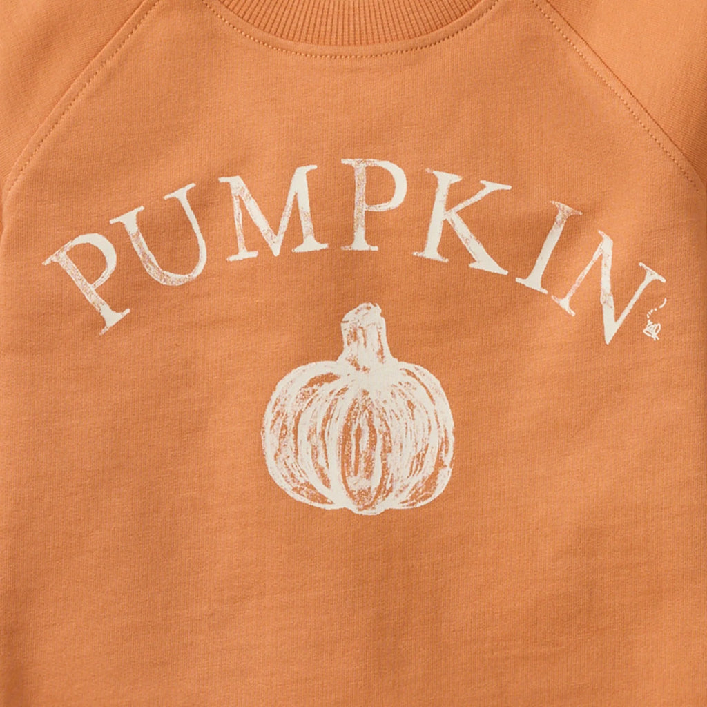 Orange sweatshirt with 'PUMPKIN' and a pumpkin graphic on a matching background