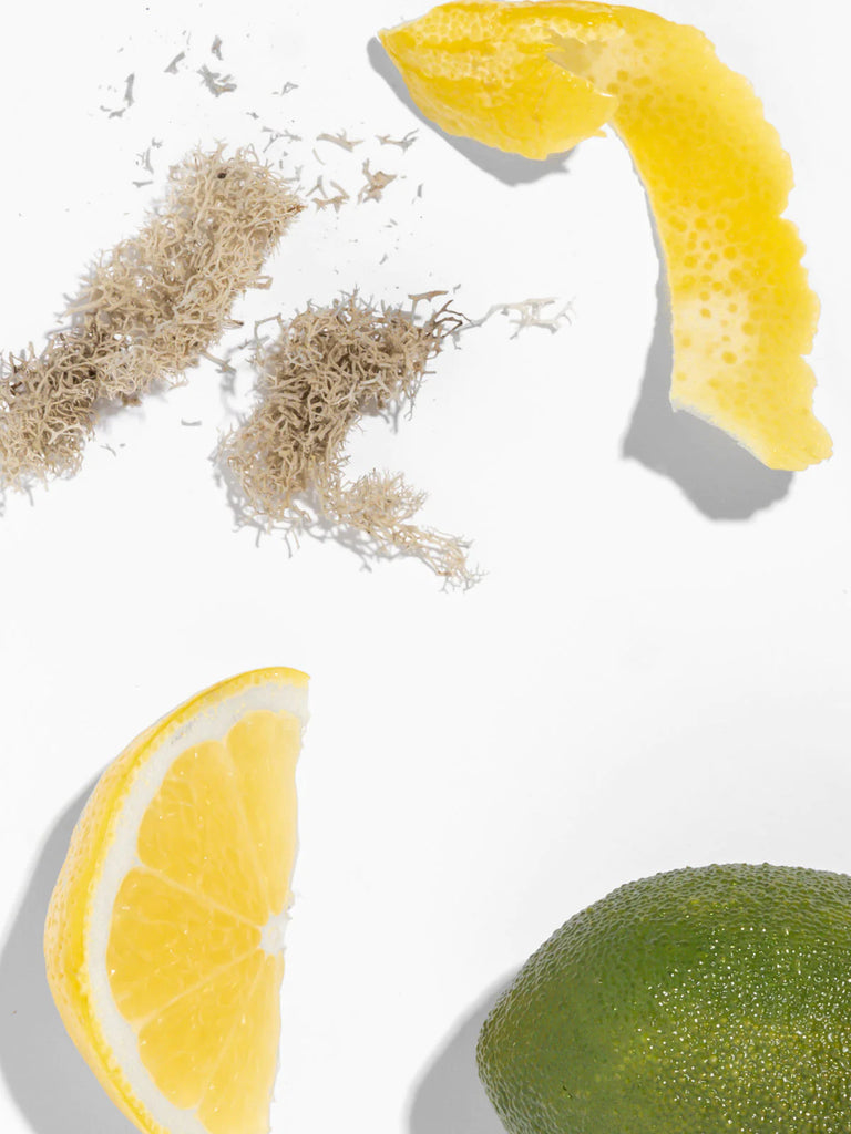 lemon and lime on a white background