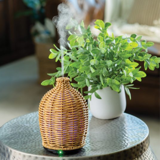 Wicker diffuser emitting steam next to a potted plant on a glass table.