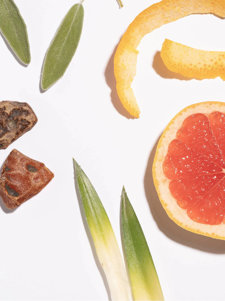 close up of grapefruit, aloe, and rock on a white background
