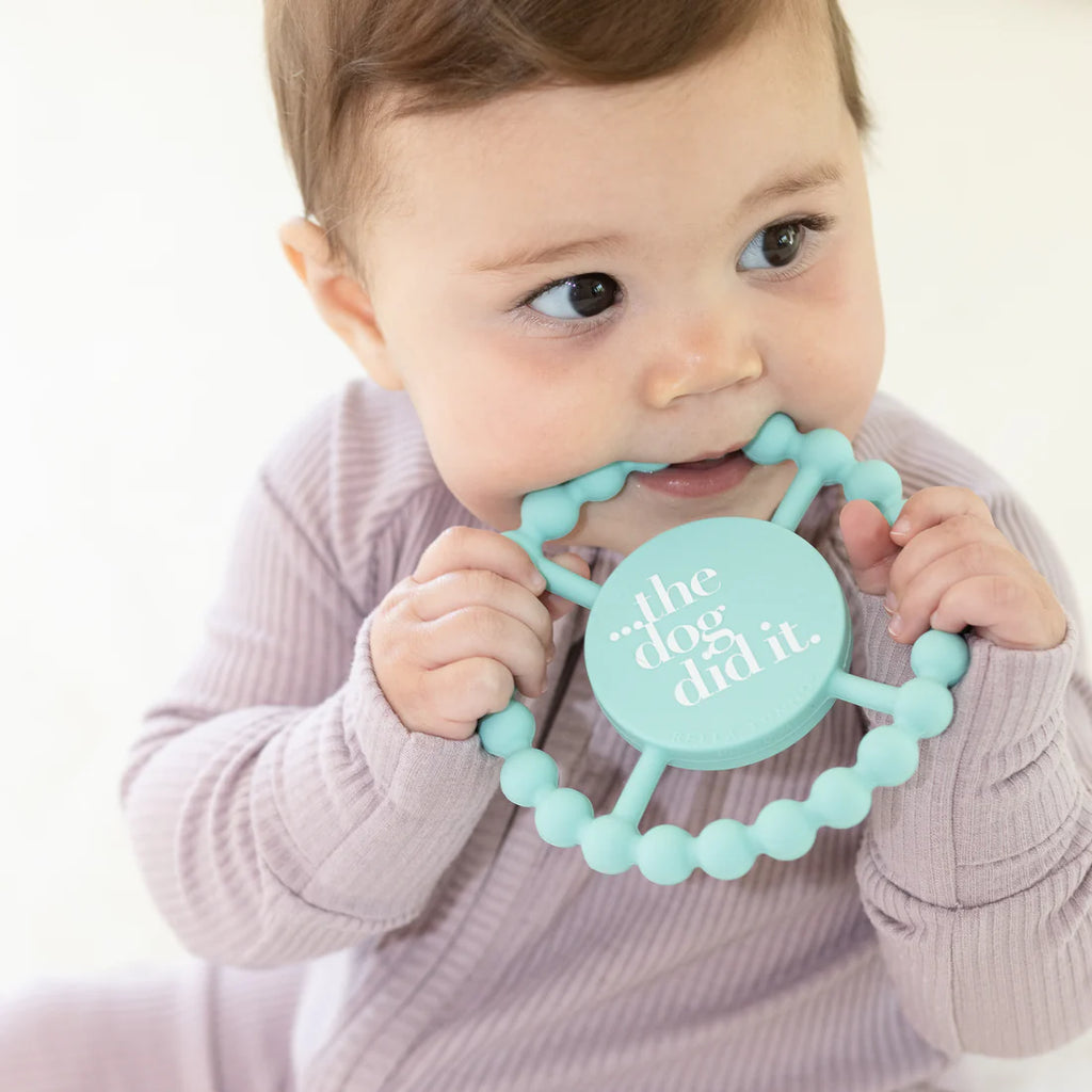 Baby holding a turquoise teething ring with 'the dog did it' text