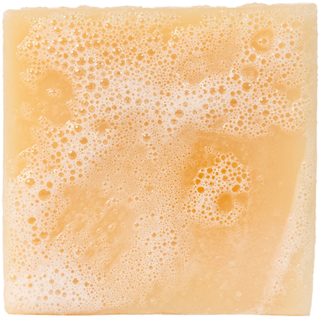 dr squatch alpine sage soap on a white background