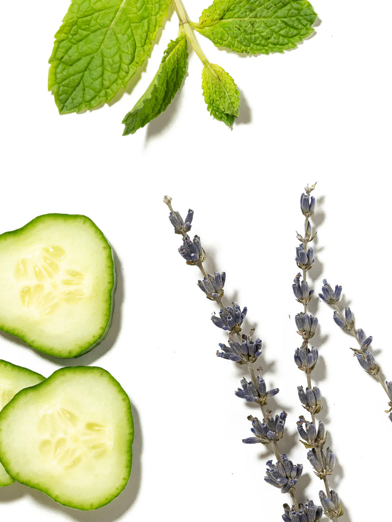 cucumber, mint, and lavender white background
