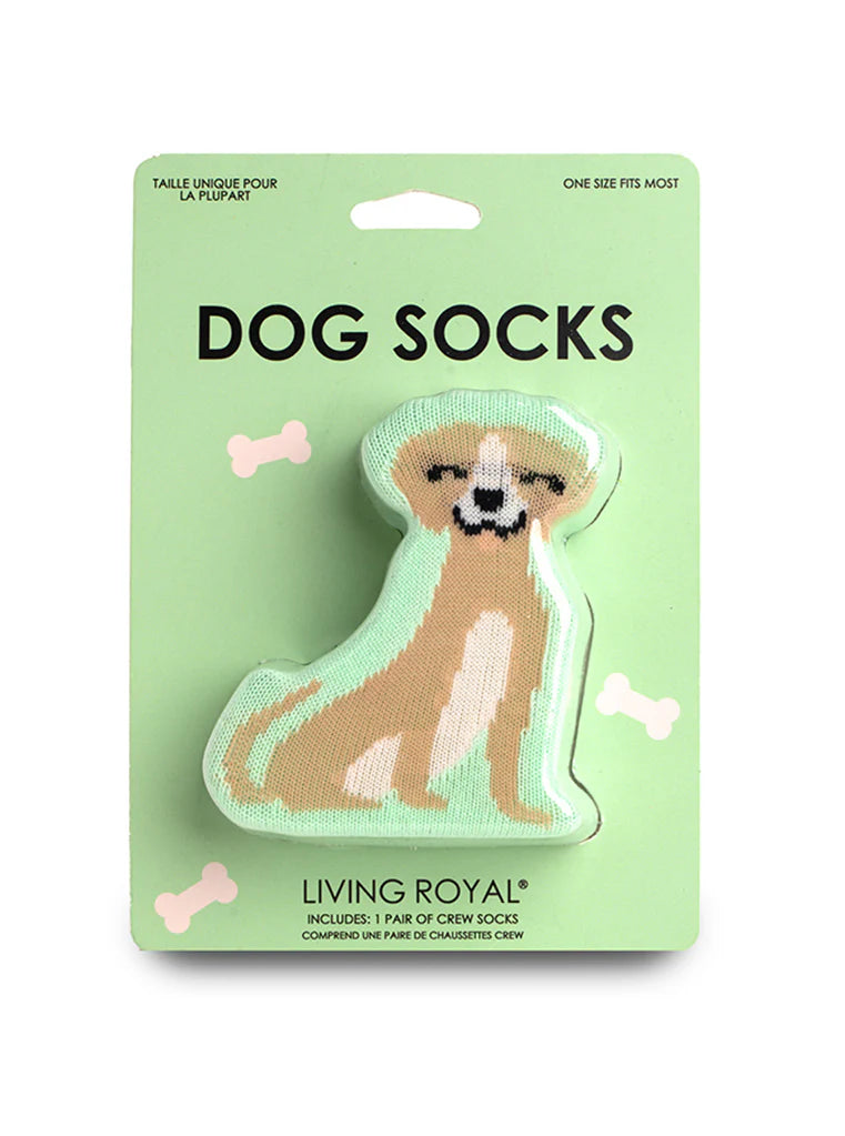 Dog socks packaging with a dog illustration on a green background