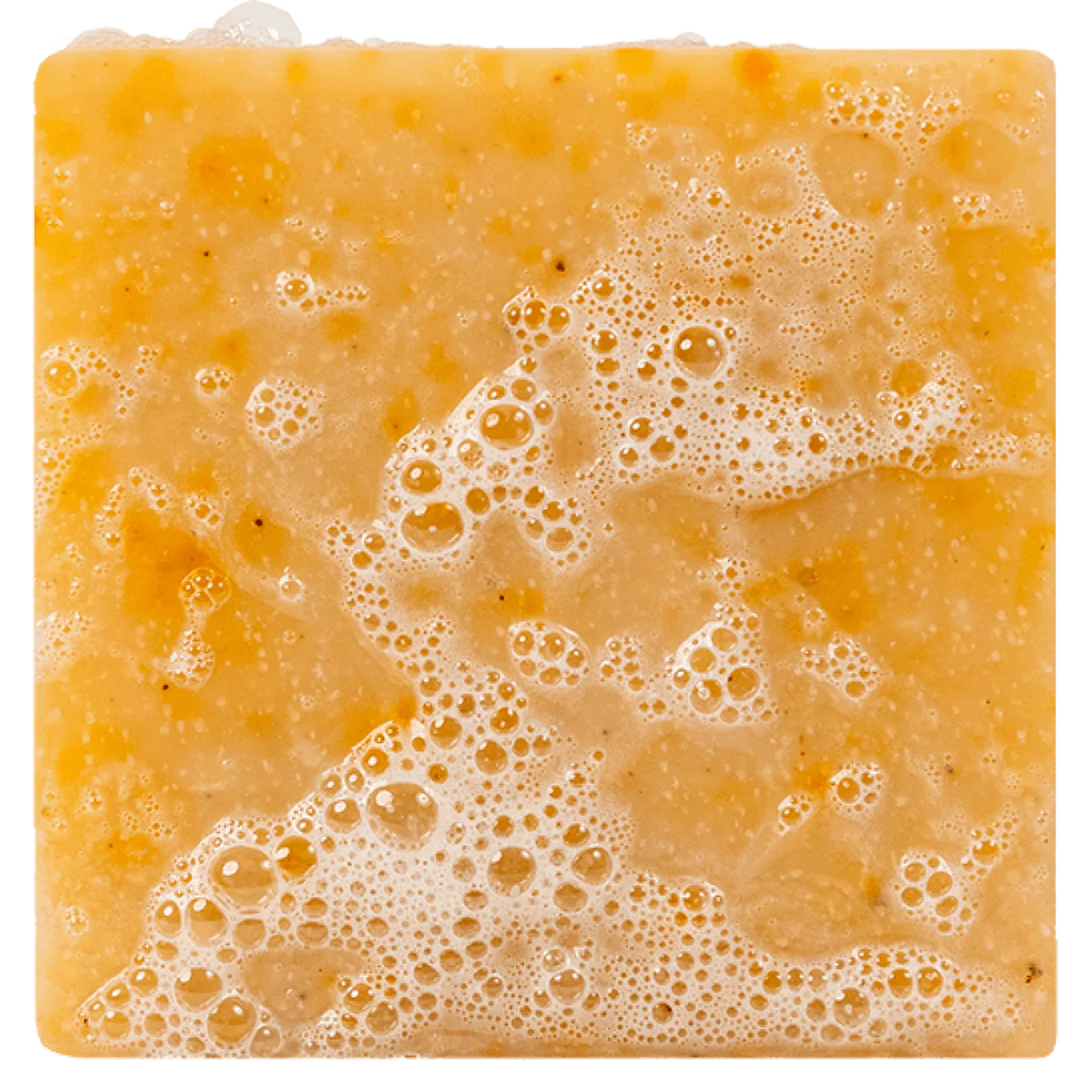 dr squatch grapefruit ipa soap on a white background