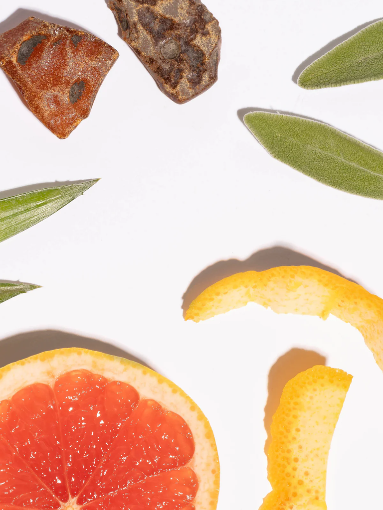 grapefruit, leaves, and rock on white background