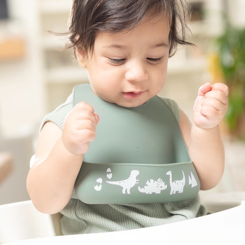 Bella tunno dio rawr little bites bib on a white background being worn by a baby