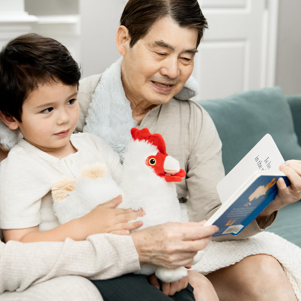 chicken warmie being held by a boy with his Dad reading a book