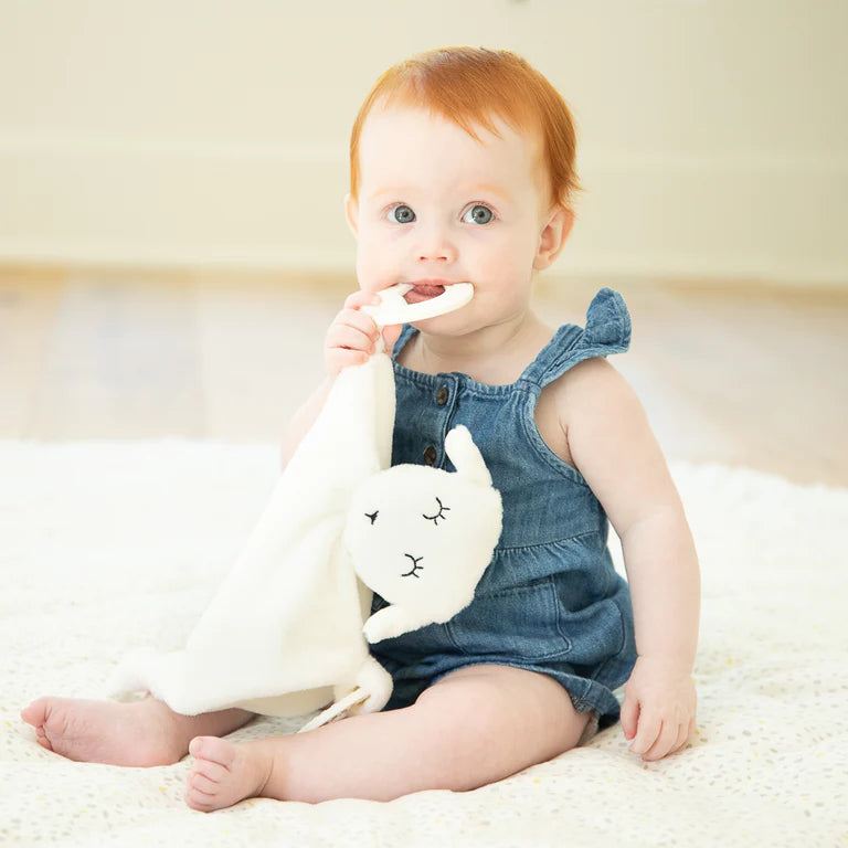 bella tunno teether buddy on a white background