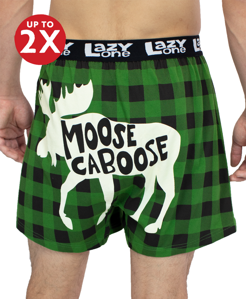 moose caboose boxer on a white background